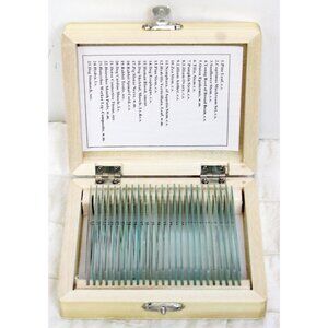 AmScope Science 25 Prepared Slides Microscope Biology Wooden Box List Specimen